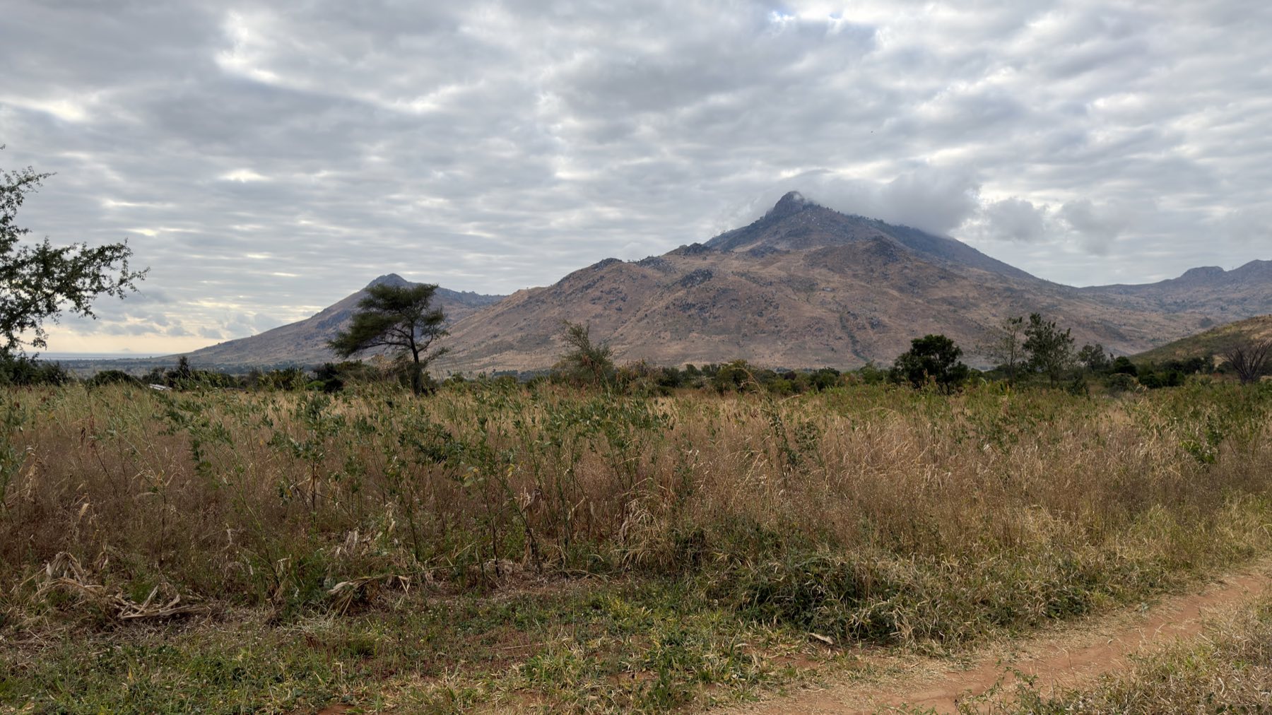 A path through the grass toward the mountains of Malawi