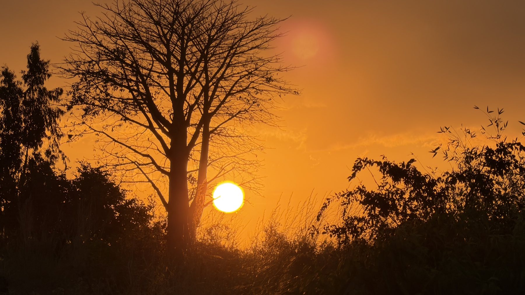 The sun setting behind trees in Malawi